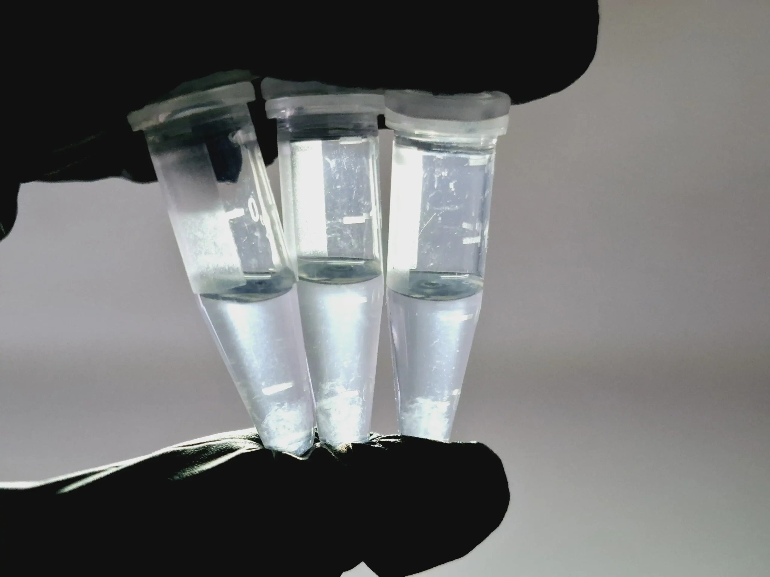Fundamentos de Biotecnología Vegetal